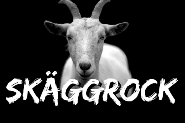 skäggrock 500